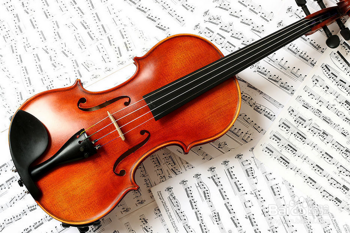 初學提琴，為何音色總是很尖銳？